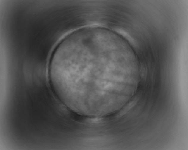 X0000093101278200710031823