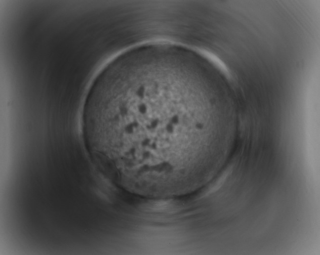 X0000093101279200710031823