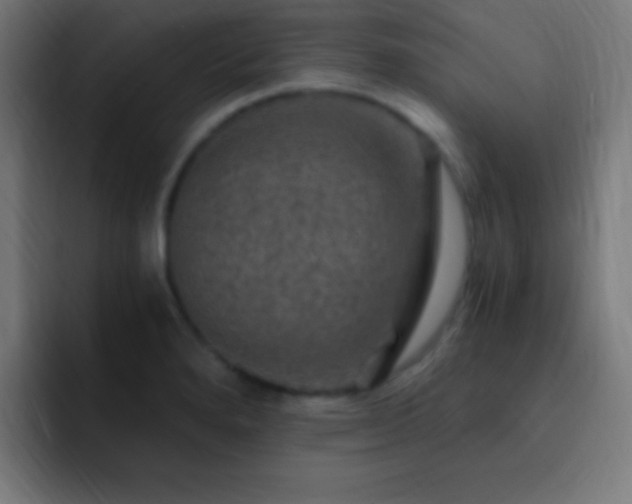 X0000093101280200710031823
