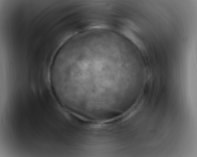 X0000093101282200710031823