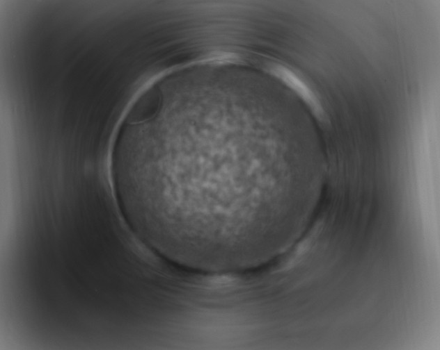 X0000093101283200710031823