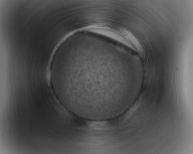 X0000093101284200710031823