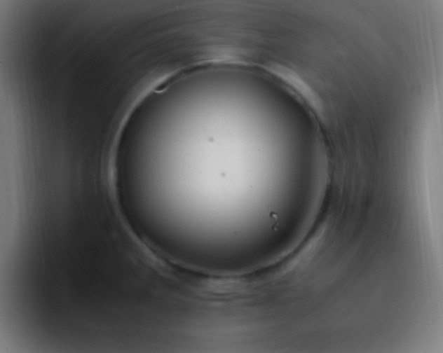 X0000093101285200710031823