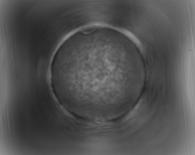 X0000093101287200710031823