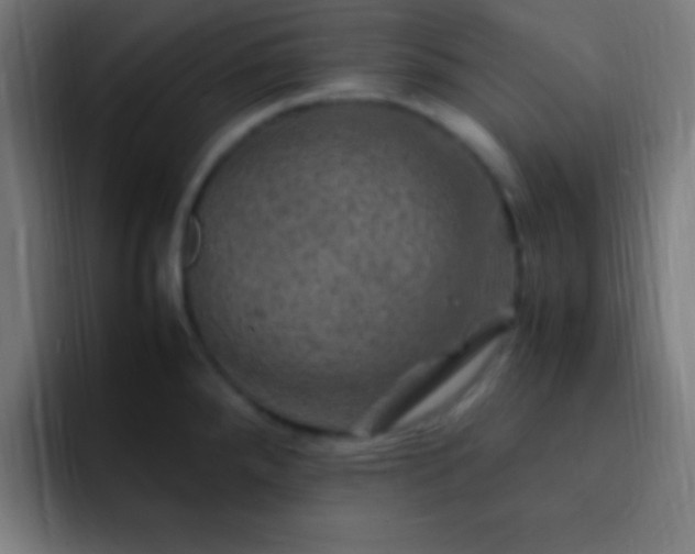 X0000093101288200710031823