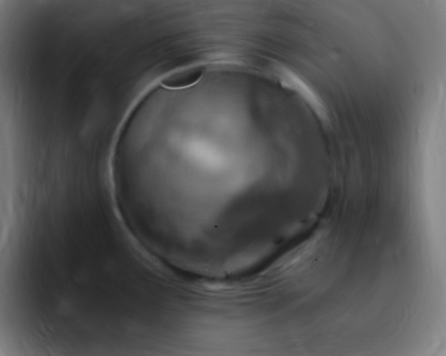 X0000093101291200710031823