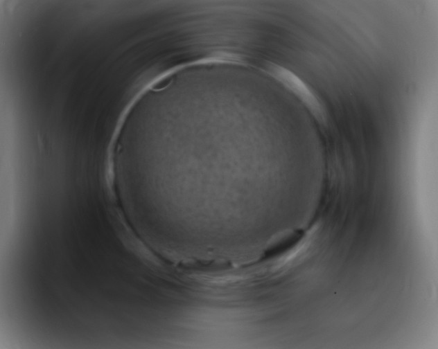 X0000093101292200710031823