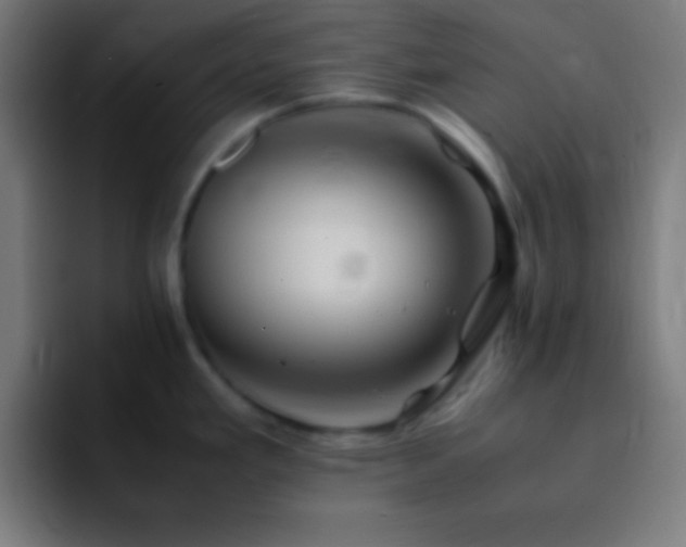 X0000093101293200710031823