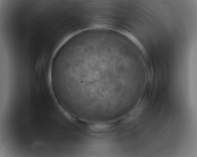 X0000093101294200710031823
