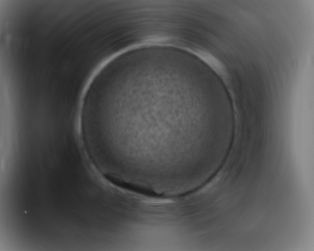 X0000093101296200710031823