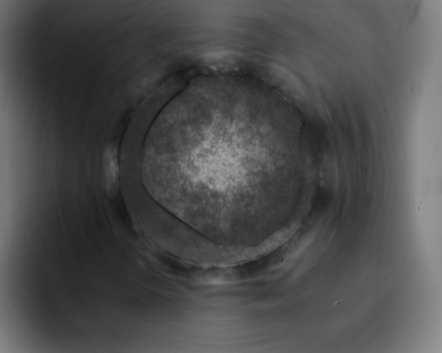 X0000093101298200710031822