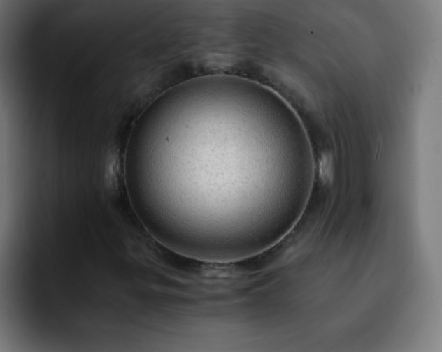 X0000093101299200710031822