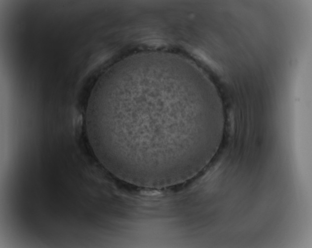 X0000093101302200710031822