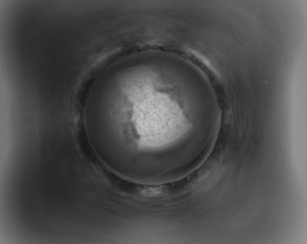 X0000093101303200710031822