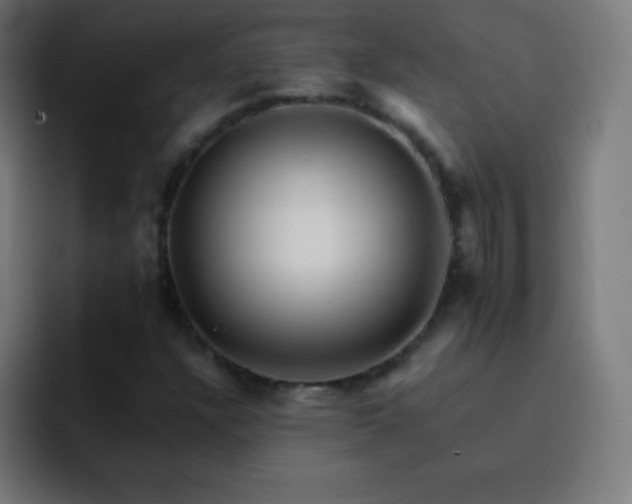 X0000093101304200710031822