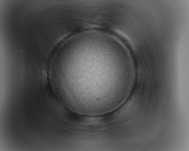 X0000093101305200710031822