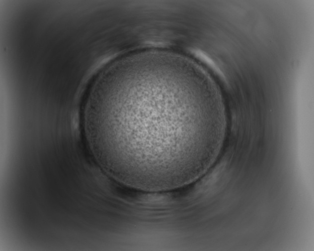 X0000093101307200710031822