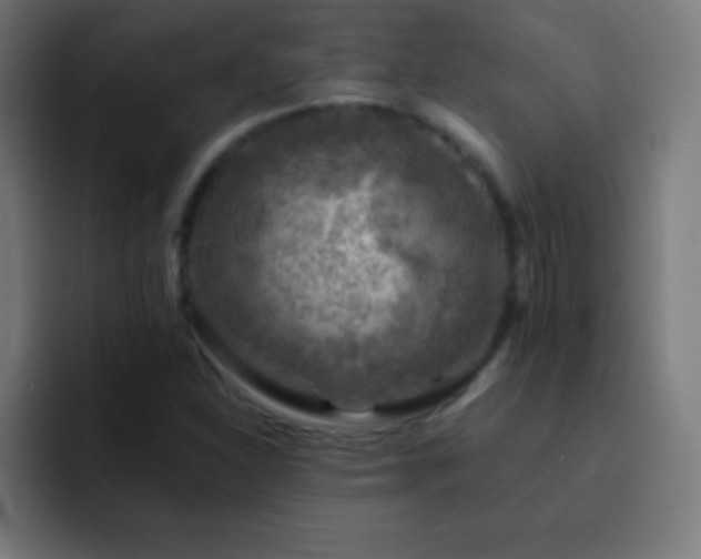 X0000093101310200710031823