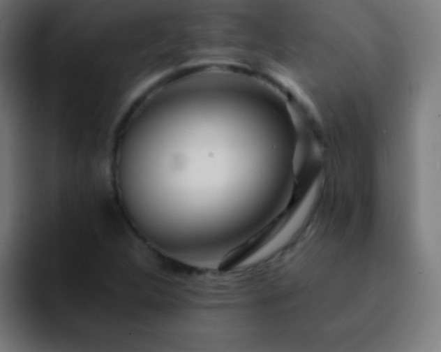 X0000093101312200710031823