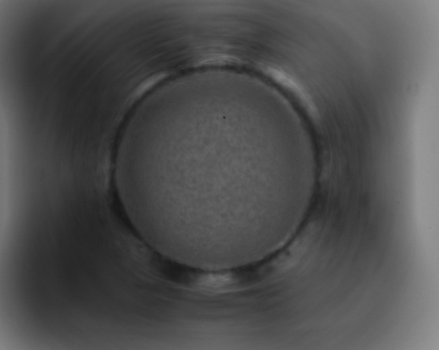 X0000093101313200710031823