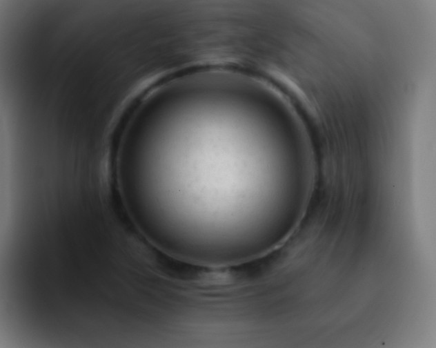 X0000093101315200710031823