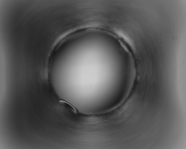 X0000093101316200710031823