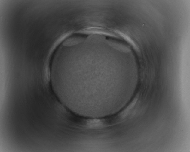 X0000093101317200710031823