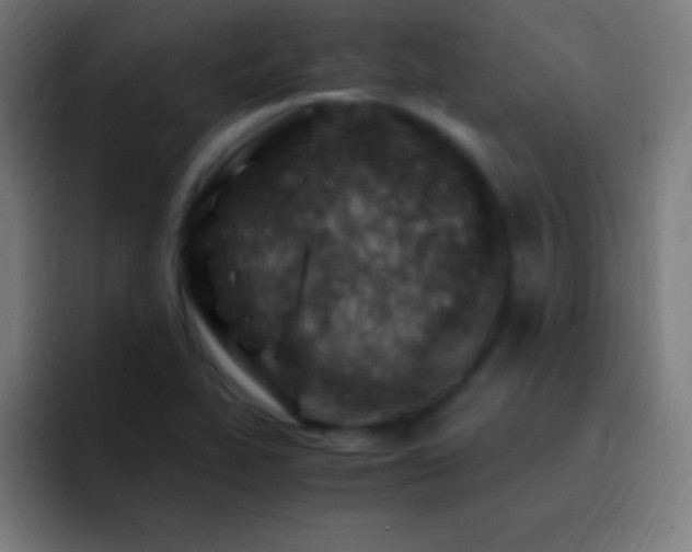 X0000093101319200710031823