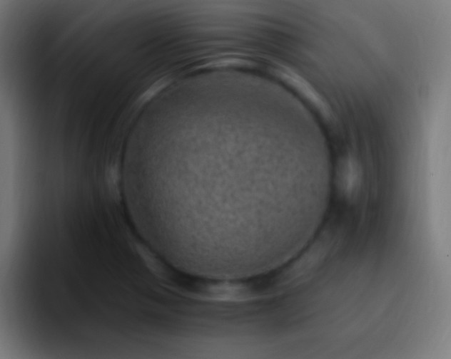 X0000093101321200710031823