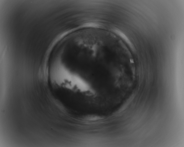 X0000093101323200710031823