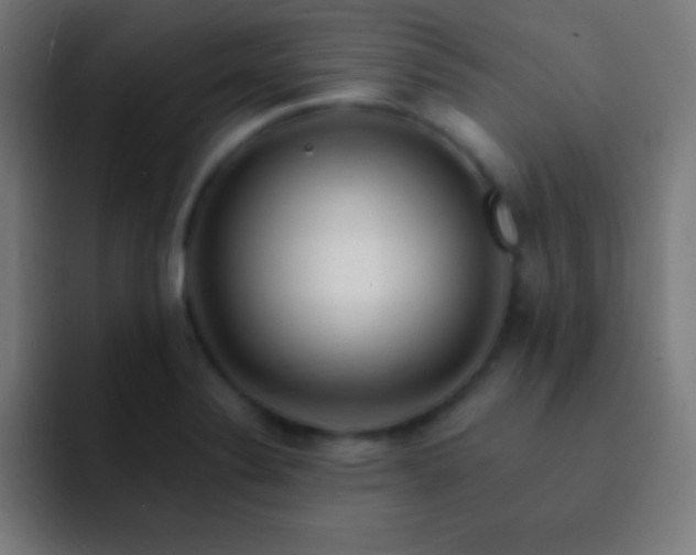 X0000093101324200710031823