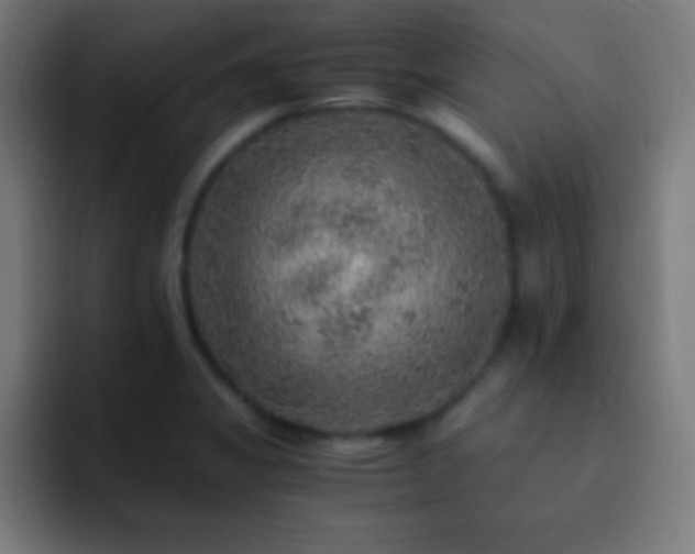 X0000093101325200710031823