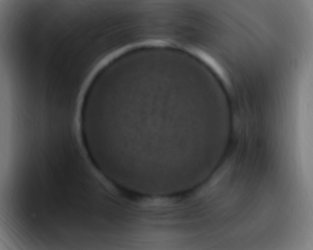 X0000093101327200710031823