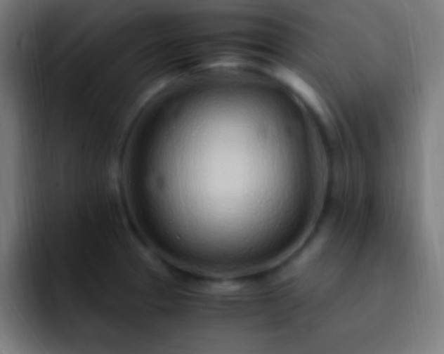 X0000093101329200710031823