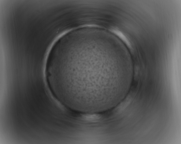 X0000093101331200710031823