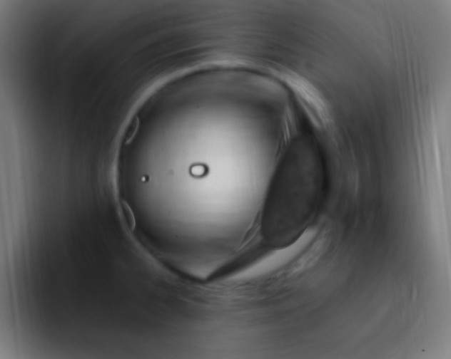 X0000093101334200710031823