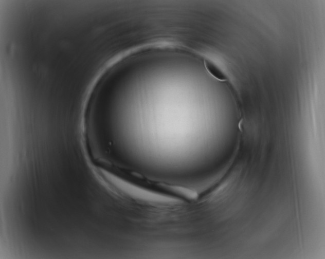 X0000093101335200710031823