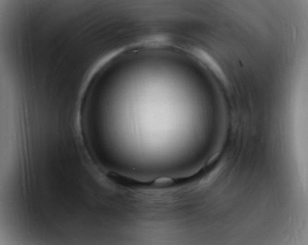 X0000093101336200710031823