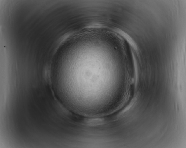 X0000093101337200710031823