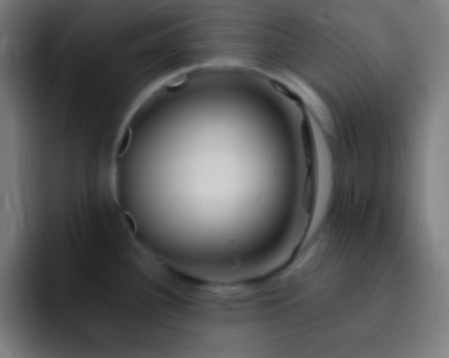 X0000093101340200710031823