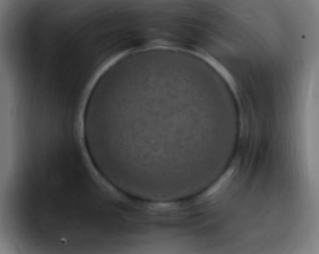 X0000093101341200710031823