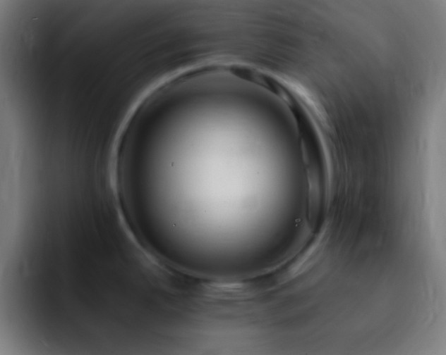 X0000093101342200710031823