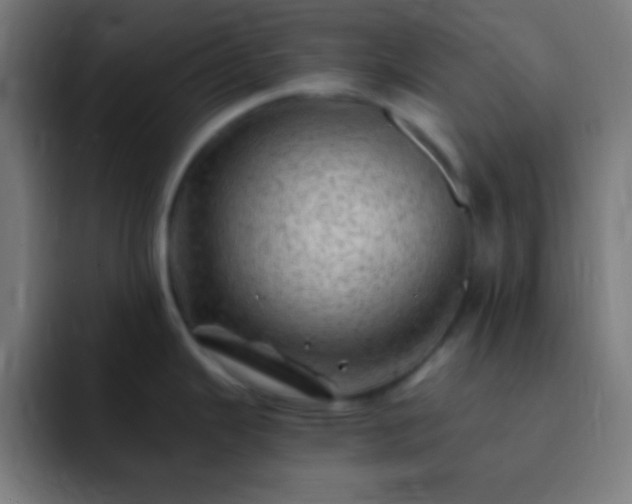 X0000093101343200710031823