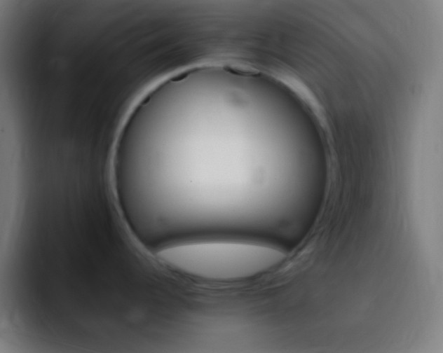 X0000093101344200710031823
