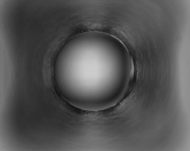 X0000093101345200710031822