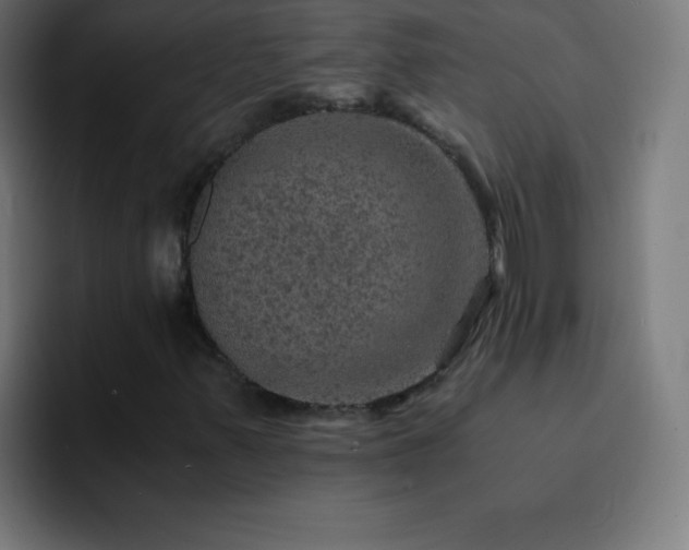 X0000093101347200710031822