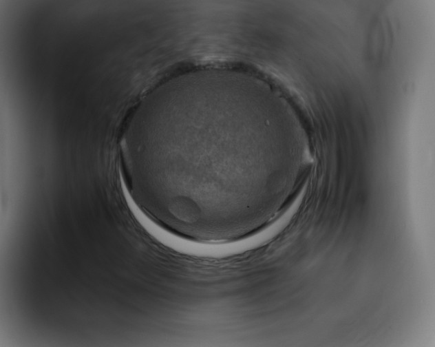 X0000093101348200710031822