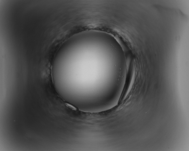 X0000093101349200710031822