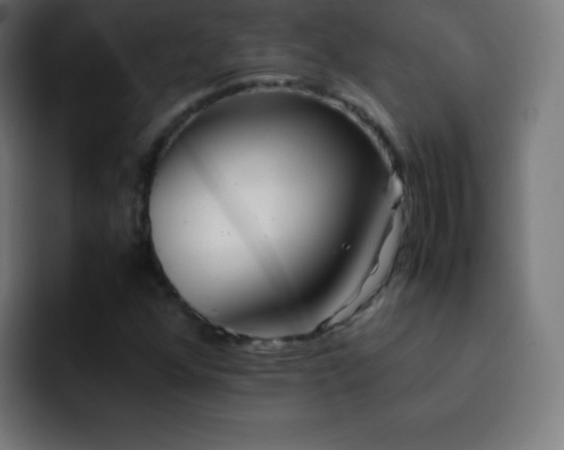 X0000093101352200710031822