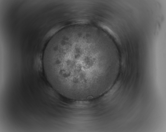 X0000093101354200710031822